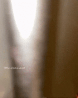 Refrigerator Full Of Sprite Cranberry Cans GIF