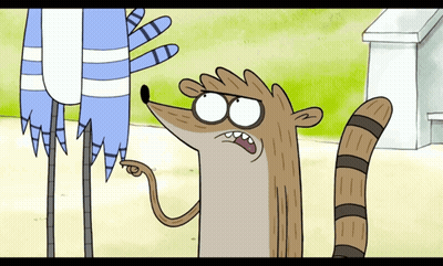 Regular Show Raccoon And Blue Penguin GIF