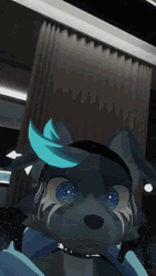 Regulus Furry Video Chat Yiff GIF