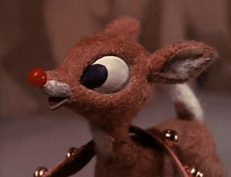 Reindeer Decoration Noel GIF