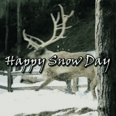 Reindeer In Snow Saying Happy Snow Day GIF
