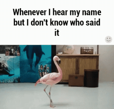 Relatable Funny GIF
