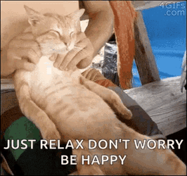 Relax Cat GIF