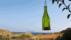 Relaxing Beach View GIF