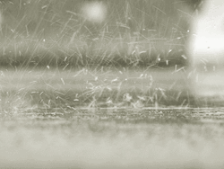 Relaxing Rain Drops GIF