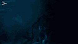 Release The Kraken Underwater GIF