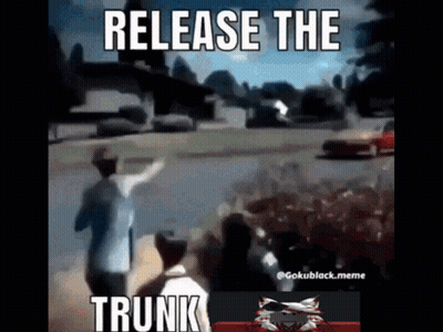 Release The Trunk Meme Group Standing On Street GIF