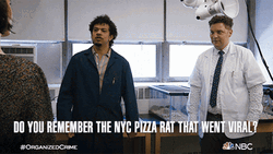 Remember The Viral Nyc Pizza Rat GIF