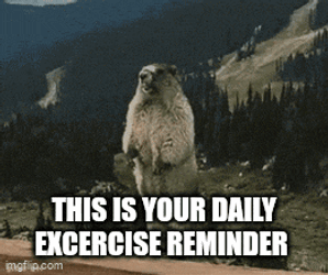 Reminder Shion Reminder GIF