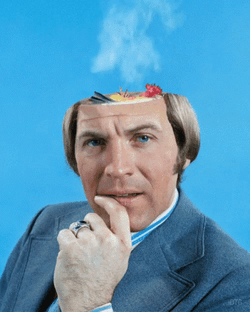 Remove The Fried Brain GIF