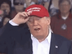 Removing Maga Cap Donald Fixing Hair GIF