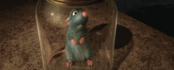 Remy Inside A Jar Ratatouille GIF