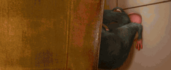 Remy Pouring Liquid Ratatouille GIF