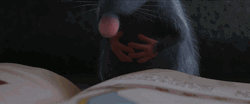 Remy Reading Book Ratatouille GIF
