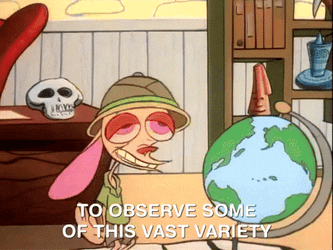 Ren And Stimpy Saw Observed GIF