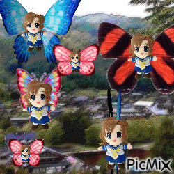 Renafly Buttefly GIF