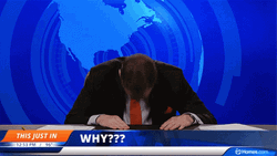 Reporter Annoyed Banging Head Against Wall GIF