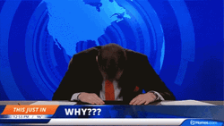 Reporter Bang Head On Desk GIF