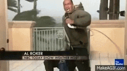 Reporter Falling Down Hurricane Meme GIF