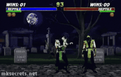 Reptile Winning Video Game GIF