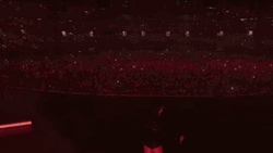 Reputation Tour Taylor Highights GIF