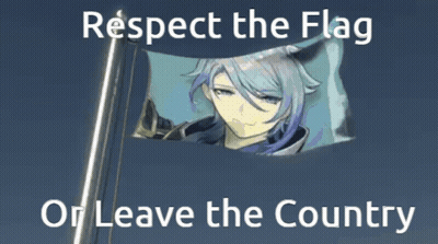 Respect The Flag Poster With Boy GIF