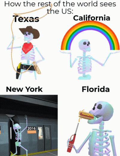 Rest Of World Sees Texas California New York Florida Skeletons GIF