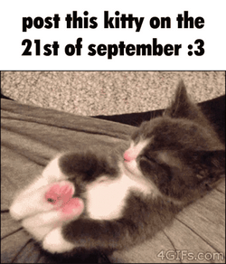 Resting Kitty For September 21St GIF