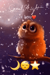 Resting Owl I Love You Good Night GIF