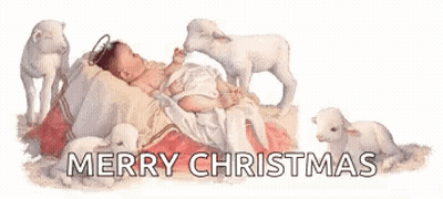 Revelation 10 9 Bible Verse On Red Background GIF