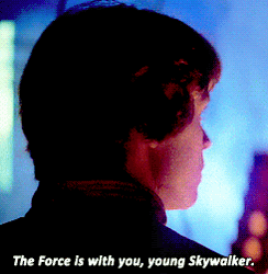 Revenge Of The 5Th Young Skywalker GIF