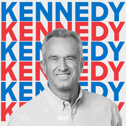 Rfk Kennedy Campaign GIF