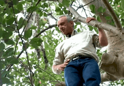 Rfk The Best Environment GIF