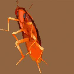 Rgb Roach Dancing Cockroach GIF