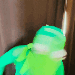 Rhylee Passfield Kermit Dancing GIF
