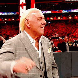 Ric Flair Celebrating Yeah! GIF