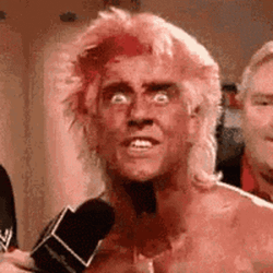 Ric Flair Go Go Go He Want Some Fight GIF