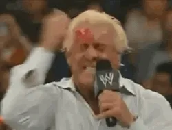 ric-flair-punching-face-upt8am5kqp52lfid.webp