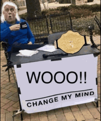 Ric Flair Woo Change My Mind Meme GIF