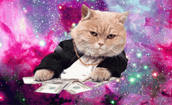 Rich Cat With Funny Money GIF