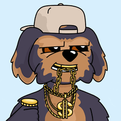 Rich Dog Coin Flip GIF