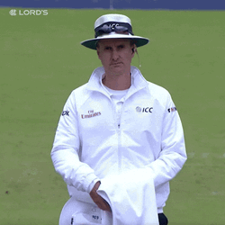 Richard Kettleborough Umpire In Crickets Meme Game GIF
