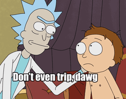 Rick And Morty Don't Trip Dawg