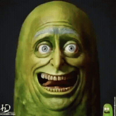 Rick And Morty Pickle Rick GIF