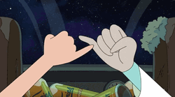 Rick And Morty Pinky Promise GIF
