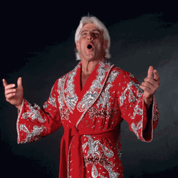Rick Flair Fan Edit GIF