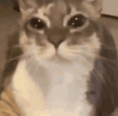 Rick From Rick And Morty Smiling GIF