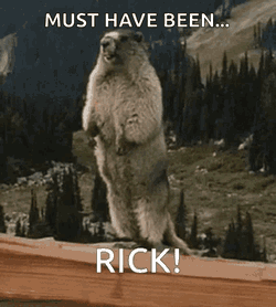Rick Marmot GIF