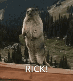 Rick Marmot Scream GIF