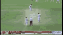 Rickroll Rick Astley Cricket Bat GIF